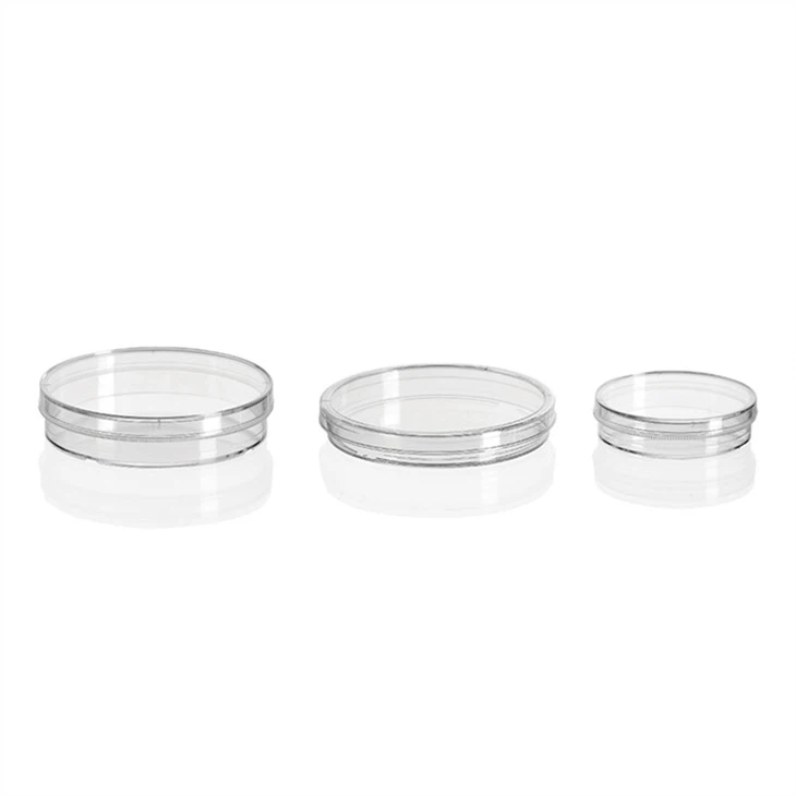 Clear Glass Petri Dish